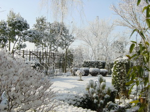 雪の降った朝の庭 雪の降った朝の庭
